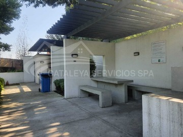 Imagen 19