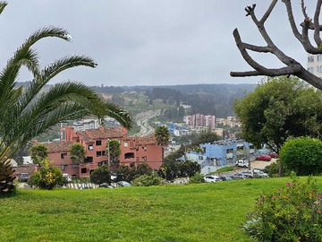 Imagen 19