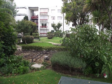 Imagen 24