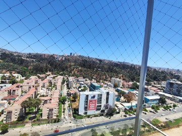 Imagen 5