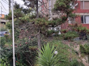 Venta / Departamento / Viña del Mar