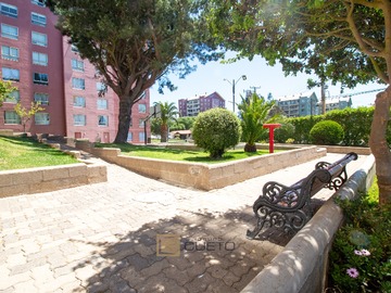 Venta / Departamento / Viña del Mar