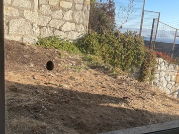 Imagen 14