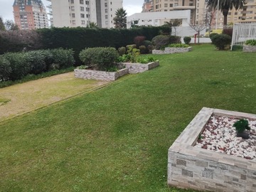 Imagen 6