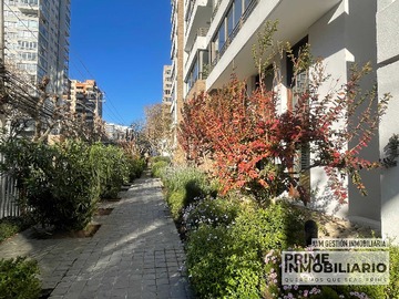 Imagen 22