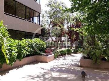 Imagen 20