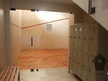 Imagen 13