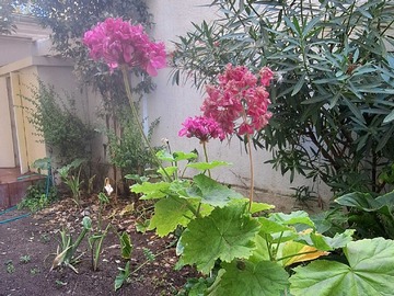 Venta / Departamento / Viña del Mar