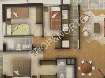 Imagen 11