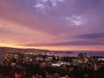 Imagen 14