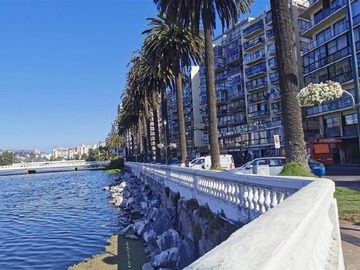 Venta / Departamento / Viña del Mar