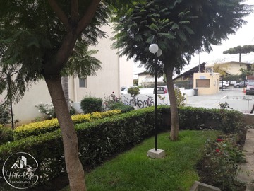 Imagen 19