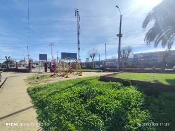Imagen 6