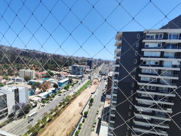 Imagen 7