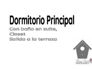 Imagen 12