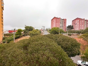 Imagen 8