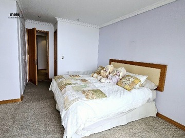 Imagen 19