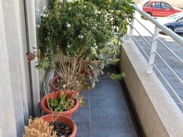 Venta / Departamento / Viña del Mar