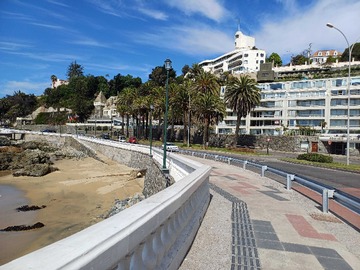 Venta / Departamento / Viña del Mar
