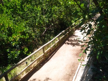 Salida Peatonal V. Mackenna