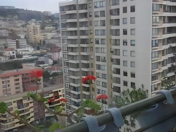 Venta / Departamento / Viña del Mar