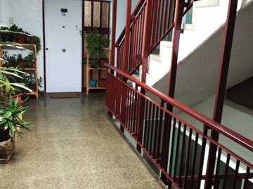 Imagen 15