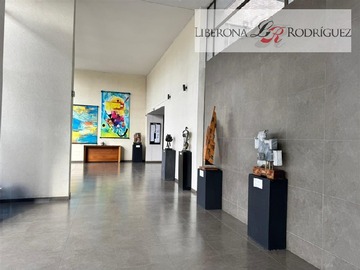 Imagen 23