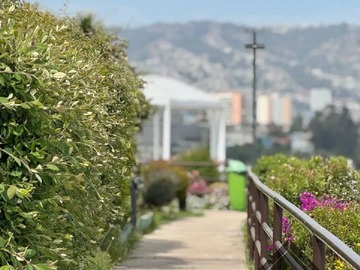 Imagen 29