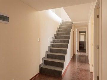 Imagen 11