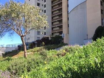 Venta / Departamento / Viña del Mar