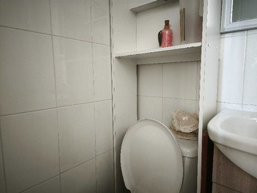 Imagen 11