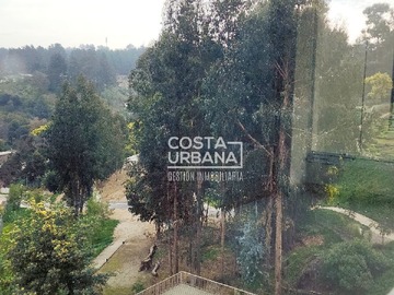 Imagen 28