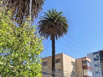 Venta / Departamento / Viña del Mar