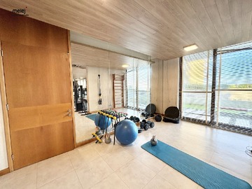 Gimnasio