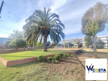 Imagen 37
