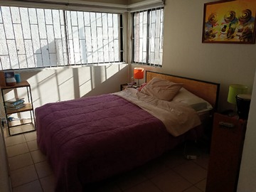 Imagen 8