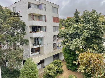 Edificio y áreas verdes