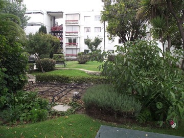 Imagen 24