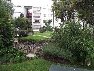 Imagen 24