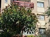 Imagen 11