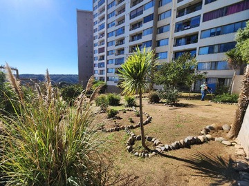 Imagen 20