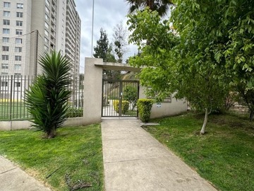 Imagen 11