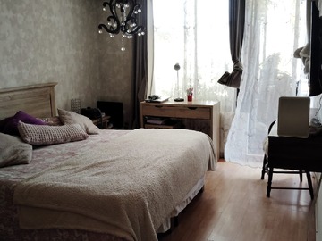 Imagen 8