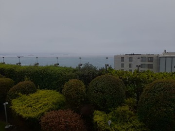 Venta / Departamento / Viña del Mar