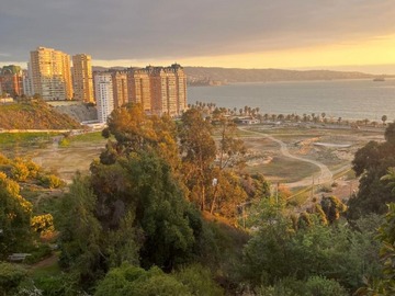 Venta / Departamento / Viña del Mar