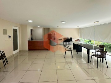 Imagen 11