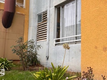 Imagen 6