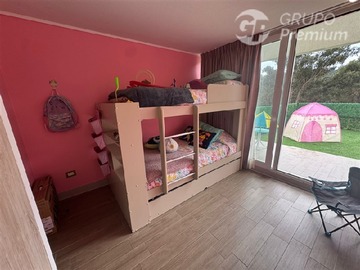 Imagen 11