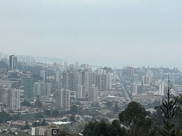 Imagen 19