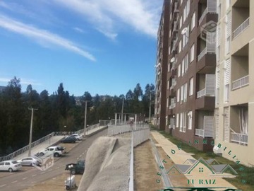 Imagen 9